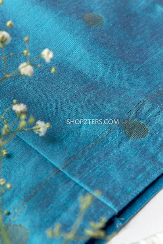 Blue Top With Silk Skirt