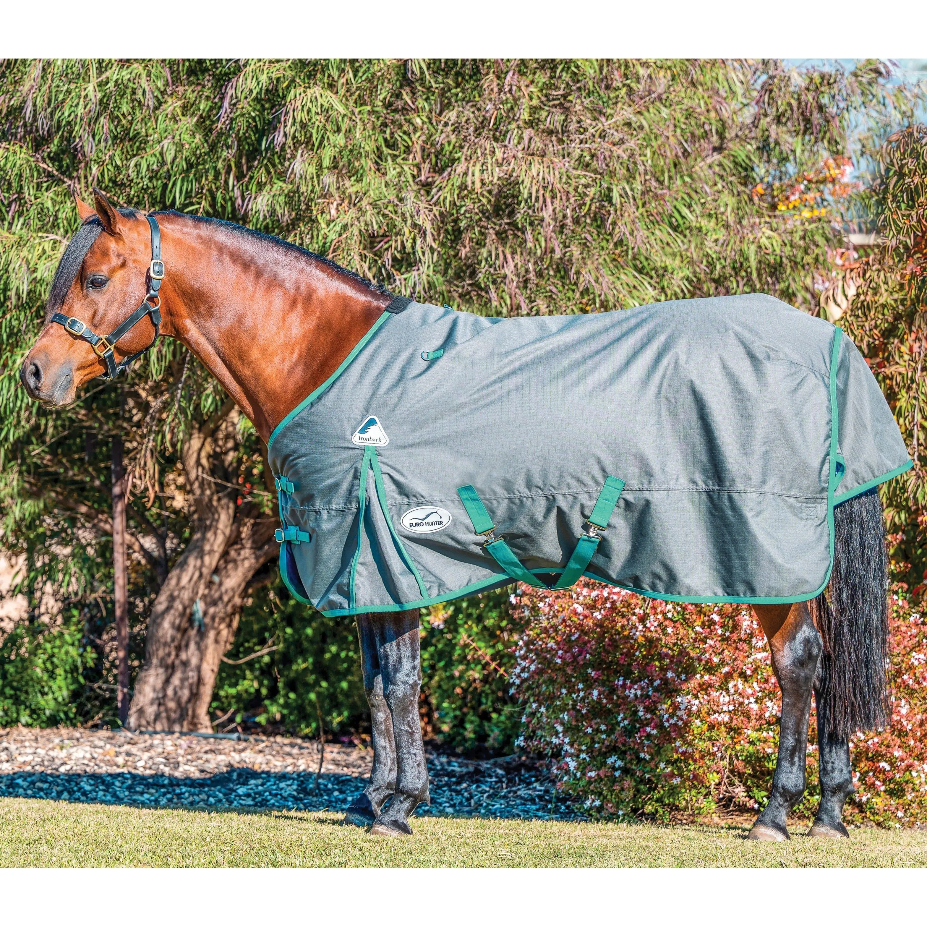 Eurohunter Ironbark Everyday Rug